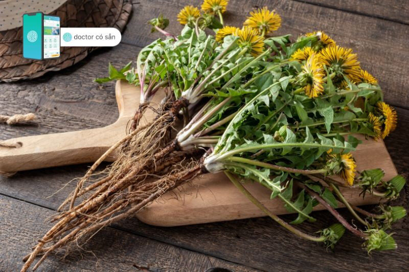 alt text: Hình ảnh bồ công anh trị mụn