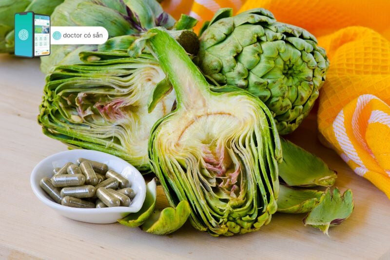 alt text: Hình ảnh thảo dược atiso